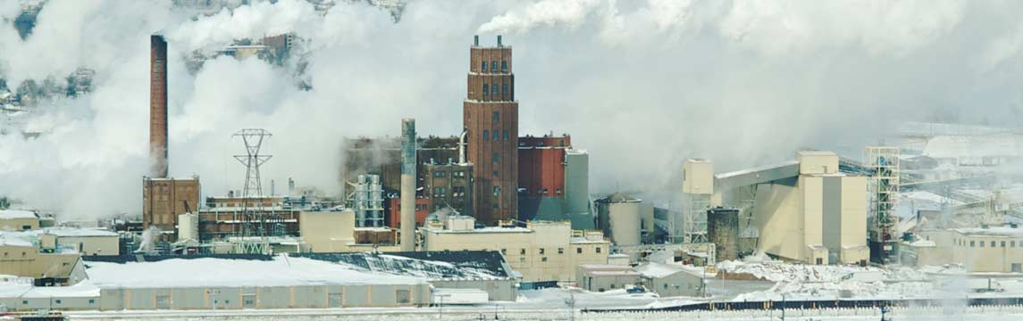 pulp and paper factory